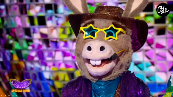L'Ane dans Mask Singer 9 - capture d'écran TF1