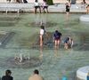 La France est frappée par la canicule

Les Jardins du Trocadéro - Illustrations de la canicule à Paris