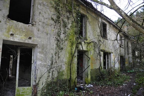 Mais il a dû y renoncer.. 

En lisière de la foret domaniale de Maurepas dans les Yvelines, la propriété achetée par l'acteur Jamel Debbouze est désormais devenue une ruine et un squat le 15 fevrier 2013.
AGENCE / BESTIMAGE