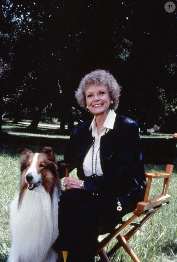 THE STORY OF LASSIE, Lassie, June Lockhart, diffusé le 14 août 1994. ©Janson Media / courtesy Everett Collection/ABACAPRESS.COM