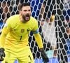 Le champion du monde investit dans le tourisme dans la région qui l'a vu grandir.

Hugo Lloris - Match "France - Argentine (3-3 - tab 2-4)" en finale de la Coupe du Monde 2022 au Qatar, le 18 décembre 2022.

© Philippe Perusseau / Bestimage