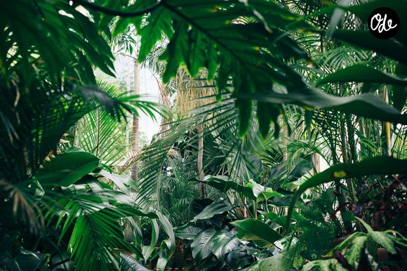 Ces solutions naturelles permettent surtout de créer une barrière préventive autour des habitations et des espaces extérieurs.

Photo prise par Chris Abney / Unsplash