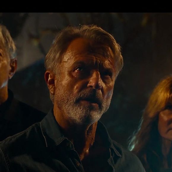 Le casting original de Jurassic Park, Chris Pratt, Laura Dern, Jeff Goldblum, Bryce Dallas Howard, Sam Neill, Daniella Pineda, Isabella Sermon, Justice Smith, Omar Sy, et BD Wong, revient dans Jurassic World Dominion