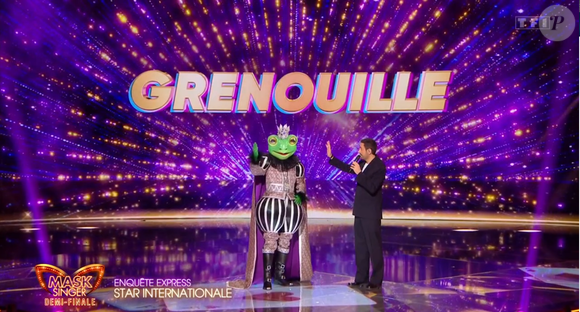 La Grenouille dans "Mask Singer 7", capture d'écran TF1
