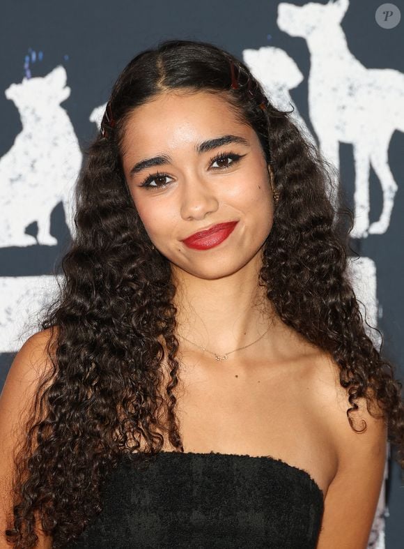 Sateen a dévoilé le clip de son titre intitulé "Miss Miu Miu" sur sa chaîne YouTube le 29 mai dernier.

Sateen Besson - Avant-première du film "Dogman" au cinéma UGC Normandie à Paris le 19 septembre 2023. © Coadic Guirec/Bestimage