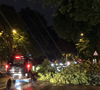Un arbre bloque le Bld Malesherbes suite au déluge à Paris, France, le 25 juin 2025. © Elie Chocron / Bestimage