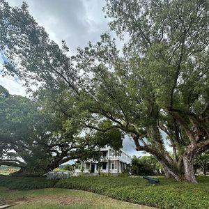 Virginie Efira et Niels Schneider en vacances à l'île Maurice