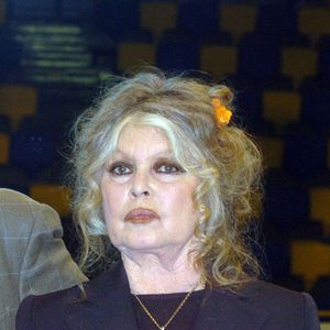 Brigitte Bardot est pour rappel une figure majeure du cinéma et une militante pour la cause animale.

Brigitte Bardot au "Noel des animaux" à Levallois Perret

Agence Bestimage