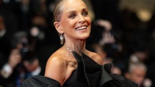 Cannes 2026 : Ovation pour Andy Garcia et son film "Diamond", Sharon Stone impériale en total look noir pour l'applaudir