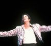 Le catalogue propose également des pièces intimes comme une veste prototype de la pub Pepsi de 1987 offerte à son dermatologue Arnold Klein, ou ses mocassins Florsheim Imperial signés et usés par les pas de Moonwalk.

Archive - Michael Jackson en concert

© Bestimage