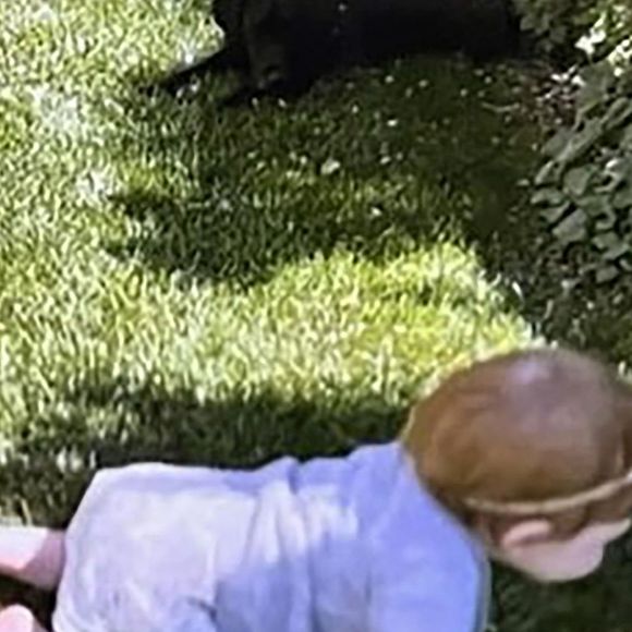 Le prince Harry, duc de Sussex et Meghan Markle, duchesse de Sussex, dévoilent des photos de leur fille Lilibet, 1 an, dans le 6ème épisode du documentaire "Harry & Meghan" (Netflix). Le 15 décembre 2022.