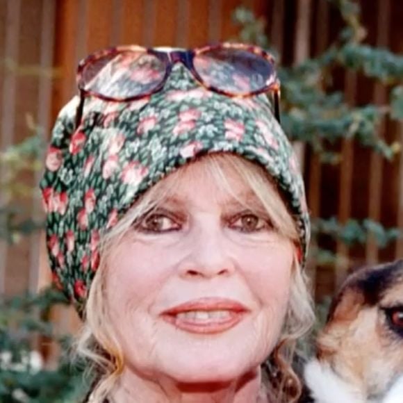 Brigitte Bardot mise à l'honneur dans "BFMTV" ce vendredi 28 mars 2025.