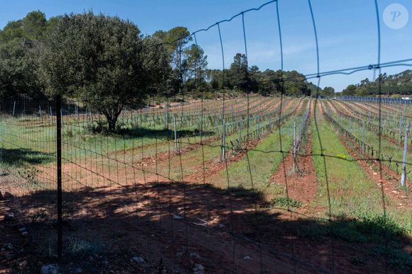 Domaine du Canadel à Brignoles, Var, sud de la France le 2 mai 2021. Escoffier Florian/ABACA