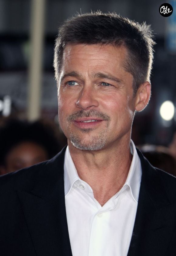 Brad Pitt - People à la première de Allied (Alliés) au théâtre Regency Village à Westwood, le 9 novembre 2016 FAMEFLYNET / BESTIMAGE