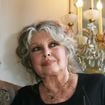 Il n’y a pas que La Madrague : Brigitte Bardot a craqué pour une ancienne bergerie située dans un village de 697 habitants près de Paris