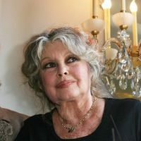 Il n’y a pas que La Madrague : Brigitte Bardot a craqué pour une ancienne bergerie située dans un village de 697 habitants près de Paris