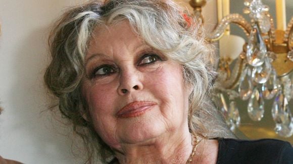 Il n’y a pas que La Madrague : Brigitte Bardot a craqué pour une ancienne bergerie située dans un village de 697 habitants près de Paris