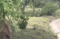 Si le pays d'Afrique de l'Est réputé pour ses vastes régions sauvages bénéficie d'un climat plutôt clément à cette période de l'année, pas question pour Aurélie Casse de se tourner les pouces et de s'enfoncer dans le farniente.

Aurélie Casse en vacances en Tanzanie.