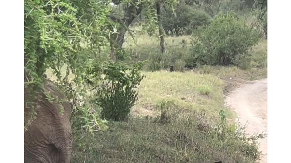 Si le pays d'Afrique de l'Est réputé pour ses vastes régions sauvages bénéficie d'un climat plutôt clément à cette période de l'année, pas question pour Aurélie Casse de se tourner les pouces et de s'enfoncer dans le farniente.

Aurélie Casse en vacances en Tanzanie.