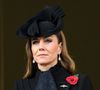 Des clins d'œil qui ne sont pas passés inaperçus 

Catherine (Kate) Middleton - La famille royale britannique assiste au Festival du Souvenir de la Royal British Legion, en l'honneur des militaires, au Royal Albert Hall à Londres, le 8 novembre 2025. ©Julien Burton / BestimageCatherine