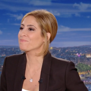 Capture d'écran du JT de 20 heures de France 2