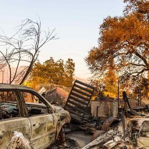 Incendies à Los Angeles: le quartier de Pacific Palisades et Altadena ravagés par les incendies - January 10, 2025, Pacific Palisades, California, USA: Destruction from the Eaton fire, with a burnt but beautiful tree lit up fire-yellow in the dying sunlight. (Credit Image: © Amy Katz/ZUMA Press Wire)