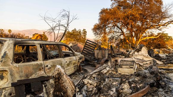Incendies à Los Angeles: le quartier de Pacific Palisades et Altadena ravagés par les incendies - January 10, 2025, Pacific Palisades, California, USA: Destruction from the Eaton fire, with a burnt but beautiful tree lit up fire-yellow in the dying sunlight. (Credit Image: © Amy Katz/ZUMA Press Wire)