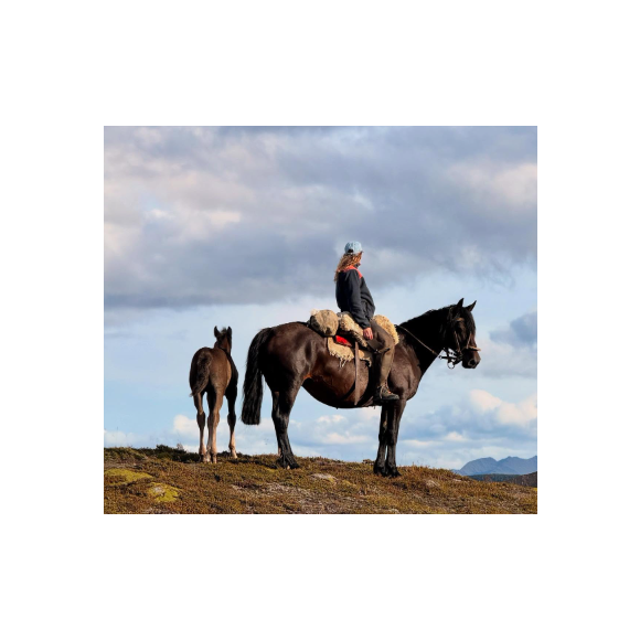 Dès son arrivée, Laury Thilleman a eu une grosse crise allergique à cause des chevaux.

Laury Thilleman lors du tournage de "Rendez-vous en terre inconnue" avec Cyril Lignac
