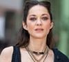 Marion Cotillard n'a pas loupé une miette du défilé Chanel Haute Couture
Marion Cotillard au défilé Chanel au Grand Palais, "Collection Haute Couture Printemps/Eté" lors de la Fashion Week de Paris (PFW)
© Olivier Borde / Bestimage