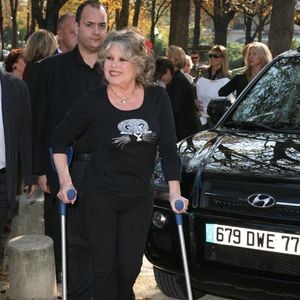 C’est la deuxième fois cet automne qu’elle est hospitalisée.

Brigitte Bardot célébre les 20 ans de sa fondation pour les animaux le 28 septembre 2006 au théatre Marigny 

JLPPA / Bestimage