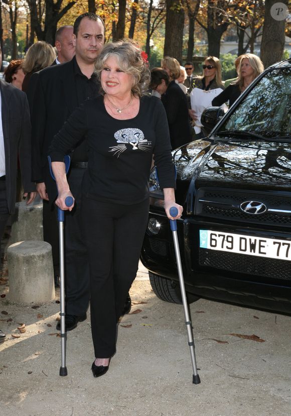 C’est la deuxième fois cet automne qu’elle est hospitalisée.

Brigitte Bardot célébre les 20 ans de sa fondation pour les animaux le 28 septembre 2006 au théatre Marigny 

JLPPA / Bestimage