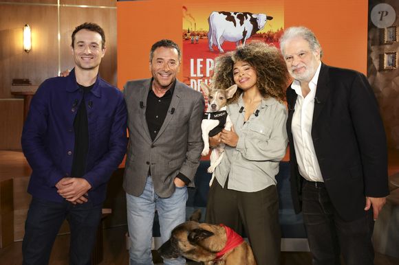 Hugo Clément, Bernard Montiel, Oli et son chien Monda, Maître Olivia Symniacos et Raphaël Mezrahi sur plateau de l'émission "Animalement Vôtre" présentée par B.Montiel et diffusée le 1er février 2026 sur France 3, à Paris, France, le 3 décembre 2025. © Jack Tribeca/Bestimage