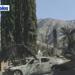 Omar Sy et les incendies à Los Angeles, "Quotidien", Capture d'écran TMC.