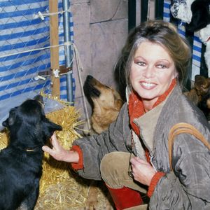 L'actrice Brigitte Bardot lors d'un événement public. Photo par GTRES/ABACAPRESS.COM