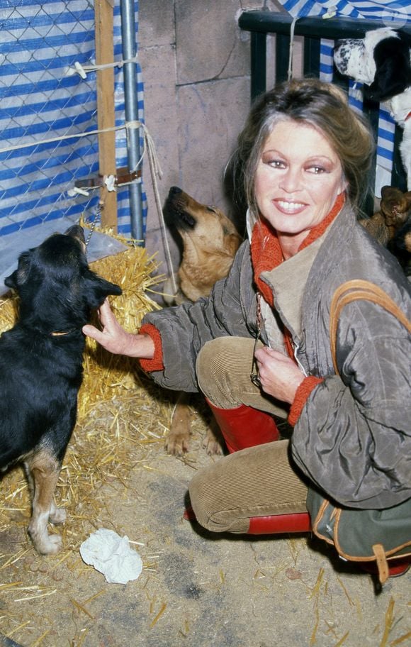 L'actrice Brigitte Bardot lors d'un événement public. Photo par GTRES/ABACAPRESS.COM