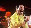Jusqu'au bout, ils ont tous gardé le dernier secret de la superstar, mais sa supposée fille, qui a aujourd'hui 48 ans et qui vit en Europe, a décidé de raconter son histoire. 

Freddie Mercury et Queen en concert à Wembley en 1986.
