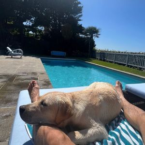 "Tous les quinze jours environ, je pars me ressourcer sur la côte normande, entre Deauville et Trouville-sur-Mer (Calvados). Dès 8h30, je suis sur la plage avec mon chien, Tigane, pour une promenade", a-t-il notamment raconté à nos confrères. 

Hugo Manos dans le Petit Manoir de Laurent Ruquier à Villerville, avec leur chien Tigane. Le 25 juin 2023 via Instagram ©hugomanos