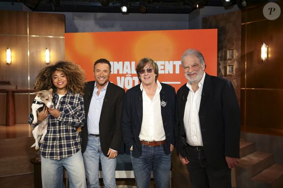 Exclusif - Oli et son chien Monday, Bernard Montiel, Thomas Dutronc et Raphaël Mezrahi 

Jack Tribeca / Bestimage