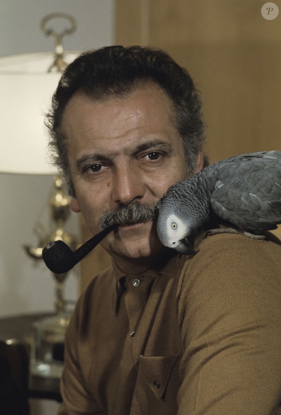 Archives - En France, à Paris, Georges Brassens fumant la pipe avec son perroquet en septembre 1977. Jean Lenoir via Bestimage