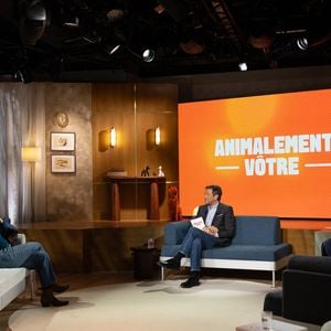 Gwendoline Hamon, Bernard Montiel, Raphaël Mezrahi sur plateau de l'émission "Animalement Vôtre" présentée par Bernard Montiel et diffusée le 15 février 2026 sur France 3, à Paris, France, le 13 janvier 2026. © Julien Sarkissian/Bestimage