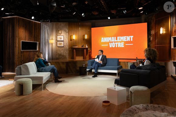 Gwendoline Hamon, Bernard Montiel, Raphaël Mezrahi sur plateau de l'émission "Animalement Vôtre" présentée par Bernard Montiel et diffusée le 15 février 2026 sur France 3, à Paris, France, le 13 janvier 2026. © Julien Sarkissian/Bestimage