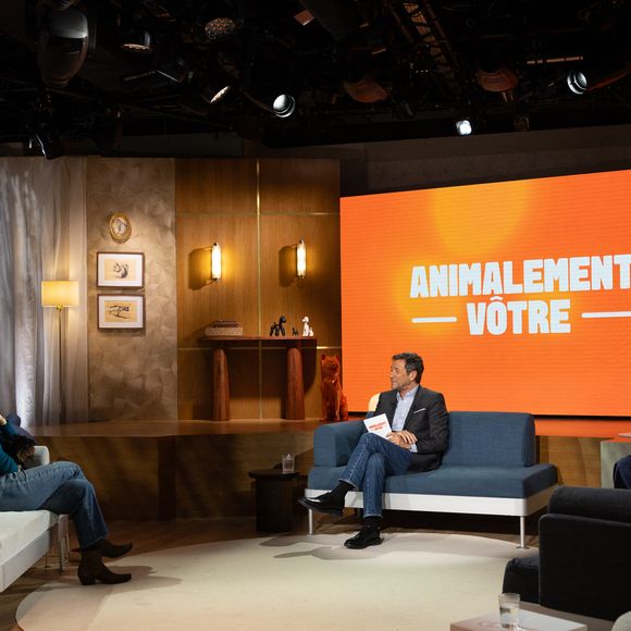 Gwendoline Hamon, Bernard Montiel, Raphaël Mezrahi sur plateau de l'émission "Animalement Vôtre" présentée par Bernard Montiel et diffusée le 15 février 2026 sur France 3, à Paris, France, le 13 janvier 2026. © Julien Sarkissian/Bestimage