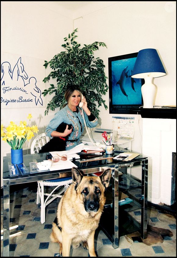 Archives de Brigitte Bardot

Photo : Agence / Bestimage