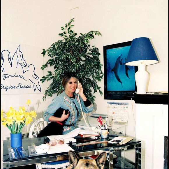 Archives de Brigitte Bardot

Photo : Agence / Bestimage