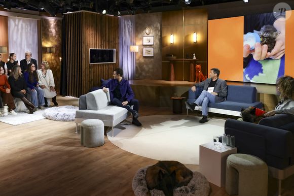 Hugo Clément, Bernard Montiel et Oli sur plateau de l'émission "Animalement Vôtre" présentée par B.Montiel et diffusée le 1er février 2026 sur France 3, à Paris, France, le 3 décembre 2025. © Jack Tribeca/Bestimage