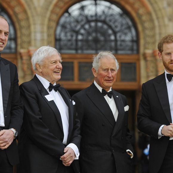Le prince William, duc de Cambridge, Sir David Attenborough, le prince Charles, prince de Galles, le prince Harry, duc de Sussex, à la première de la série Netflix "Our Planet" au Musée d'Histoires Naturelles à Londres, le 4 avril 2019. ©AGENCE / BESTIMAGE