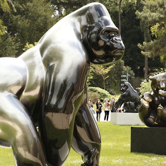 Ce sculpteur animalier d'exception jouissait d'une reconnaissance internationale, avec des expositions à Paris et New York.

 Illustration de l'exposition "Fragiles Colosses" du sculpteur Michel Bassompierre au Jardin des Plantes à Paris. Le 7 mai 2021
© Christophe Aubert via Bestimage