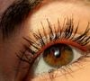 Les cils paraissent ainsi plus recourbés, mieux séparés et le regard semble naturellement plus ouvert.

© Aleks / Unsplash