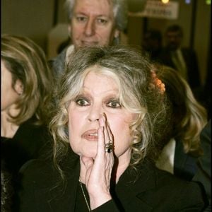 Elle ne répondra à aucune sollicitation et demande le respect de son intimité.

Brigitte Bardot au "Noel des animaux 2004" à Levallois Perret. © Agence Bestimage