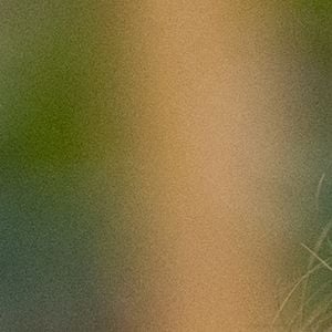 Lou Doillon - Inauguration de la passerelle Jane Birkin devant les 41-43 quai de Valmy à Paris. © Cyril Moreau / Bestimage